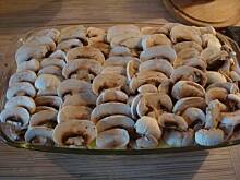 Fot. angelus111, Karkówka pod pierzynką