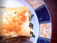 Fot. EmciaPichci, Lasagne ze szpinakiem