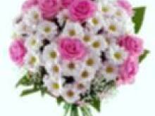 Fot. PATI :), Dziś imieniny świętują crystal i WS :)