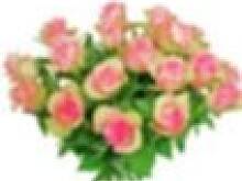 Fot. PATI :), Dziś  urodziny świętuje Olciaa :)