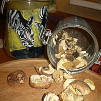 Żeberka w kapuście