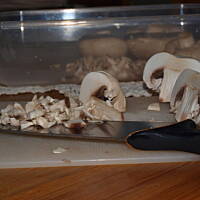 roladki z polędwicy jeleniej