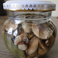 Maślaczki marynowane (delikatne)