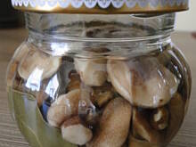 Fot. IgaZet, Maślaczki marynowane (delikatne)