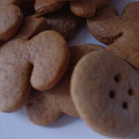 pierniczki  najlepsze dojrzewające