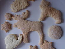 Fot. orzeszek, Amoniaczki