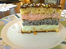 Fot. krysiaczek53, cisto gąbka