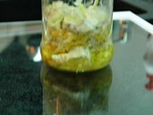 Fot. Gintruś, śledzik żółty