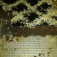 Makowiec z jabłkami mojej mamy tzw.japoniec