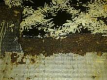 Fot. marzena89gb, Makowiec z jabłkami mojej mamy tzw.japoniec