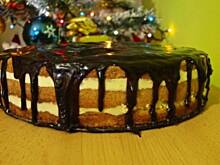 Fot. Anai, Biszkoptowy sernik gotowany