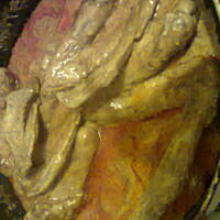 skrzydełka kacze w pikantnym sosie