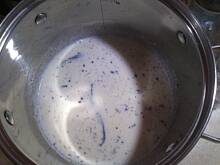 Fot. violcia186, lody waniliowe z mango