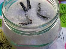 Fot. olusia23, Domowy cukier waniliowy