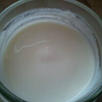 Domowy jogurt naturalny