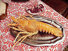 Fot. bahus, Co dziś jecie na obiadek...cd...