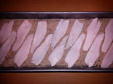 Fot. 555, Pasztet mojej mamy