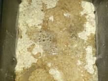 Fot. BOŻENA, Chleby  z automatu na zakwasie