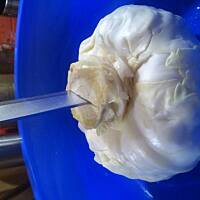 G O Ł Ą B K I _ krok po kroku