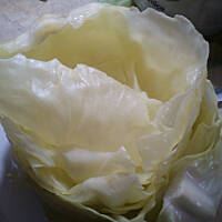 G O Ł Ą B K I _ krok po kroku