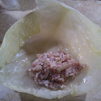 G O Ł Ą B K I _ krok po kroku