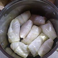 G O Ł Ą B K I _ krok po kroku