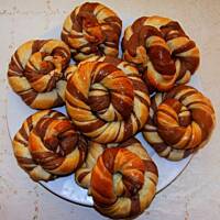 Ślimaki dwukolorowe