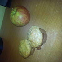 Muffiny mocno jabłkowe