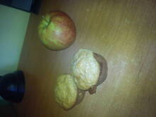 Fot. babeczka990, Muffiny mocno jabłkowe