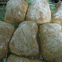 Ciabatta