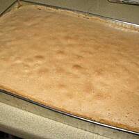 Biszkopt który nie upada