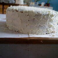 Tort budyniowo – śmietanowy