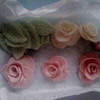 Tort budyniowo – śmietanowy