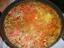 Fot. szucha, ŻuReK bŁySkAwicZnY