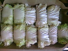 Fot. carolotta, gołąbki w pekińskiej z piekarnika z sosem