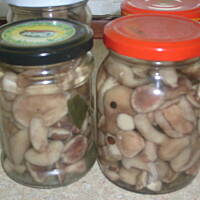 Marynowane grzybki