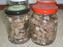 Fot. kate5134, Marynowane grzybki