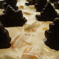 Pianka cytrynowa z owocami tropiku