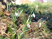 Fot. Weron!ka,  Mamy wiosnę! Astronomiczną...
