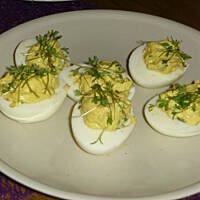 Jajka faszerowane rzeżuchą