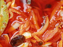 Fot. iwciaG, Śledzie Po Kaszubsku