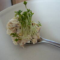 Pasta z makreli z musztardą francuską