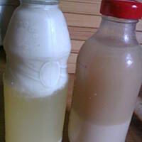 mleko migdałowe i mleko słonecznikowe