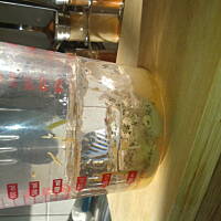 protomajonez najlepszy