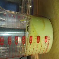 protomajonez najlepszy