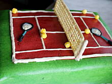 Fot. Silvana90, Tortowy kort dla Adriana