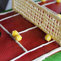 Tortowy kort dla Adriana