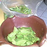 szczawiowa z jajkiem