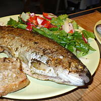 Ziołowy pstrąg z grilla