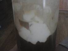 Fot. xsylwiax1700, Kawa mrożona